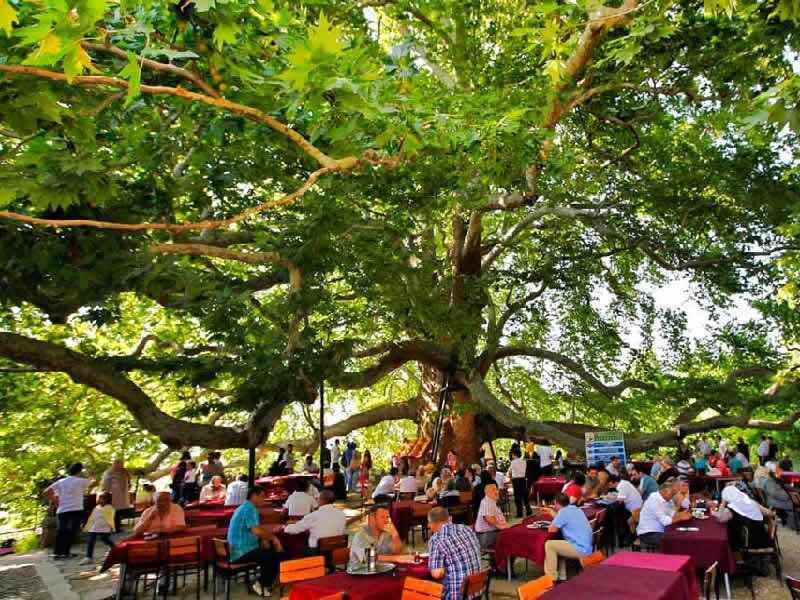 Sapanca and Yalova best natural 2 days tour package from Istanbul